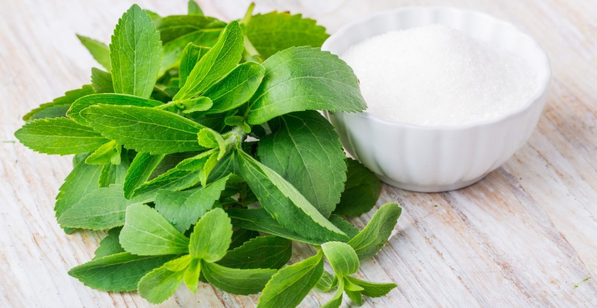 Sladší než cukr - stévie