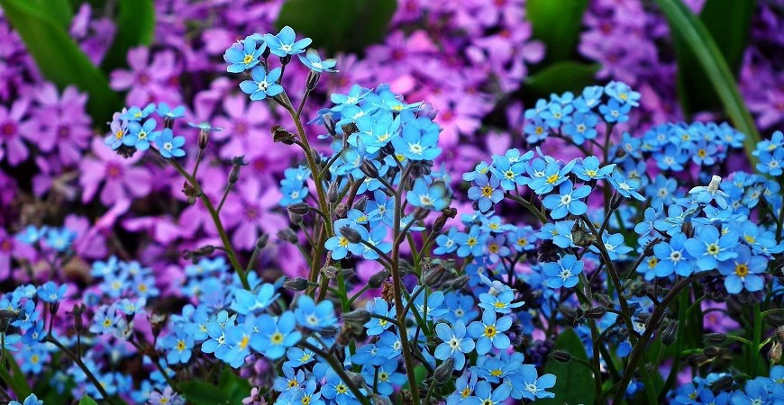 Dvouletky seté koncem léta