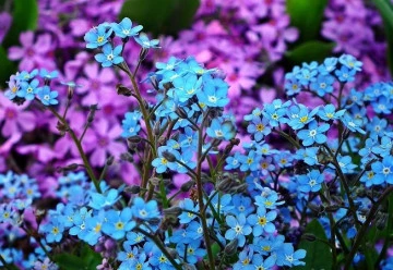 Dvouletky seté koncem léta