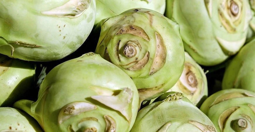 Vypěstujte si kedluben od semínka