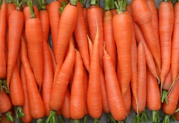 Mrkev plná vitamínů