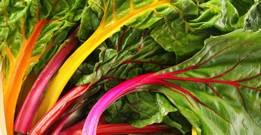 Vypěstujte si vlastní zdravou zeleninu