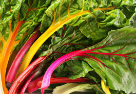 Vypěstujte si vlastní zdravou zeleninu