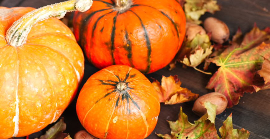 Dýně jsou nepostradatelnou součástí podzimních dekorací 