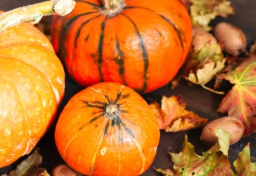Dýně jsou nepostradatelnou součástí podzimních dekorací 