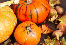 Dýně jsou nepostradatelnou součástí podzimních dekorací 