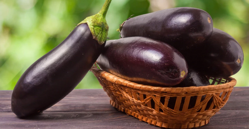 Lilek a jeho pěstování