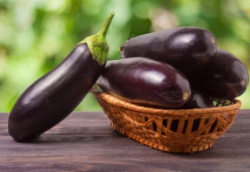 Lilek a jeho pěstování