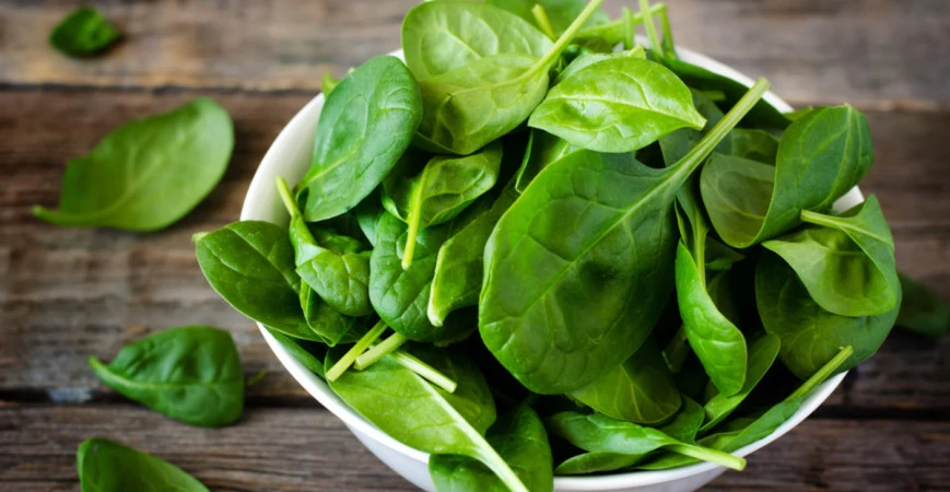 Popínavý špenát můžete uždibovat od jara do podzimu.