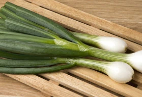 Zimní cibule neboli ošlejch, je skvělým zdrojem vitamínů