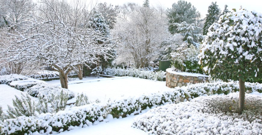 Jedlá zahrada na terase, aneb jak osázet balkón podle orientace na různé světové strany 